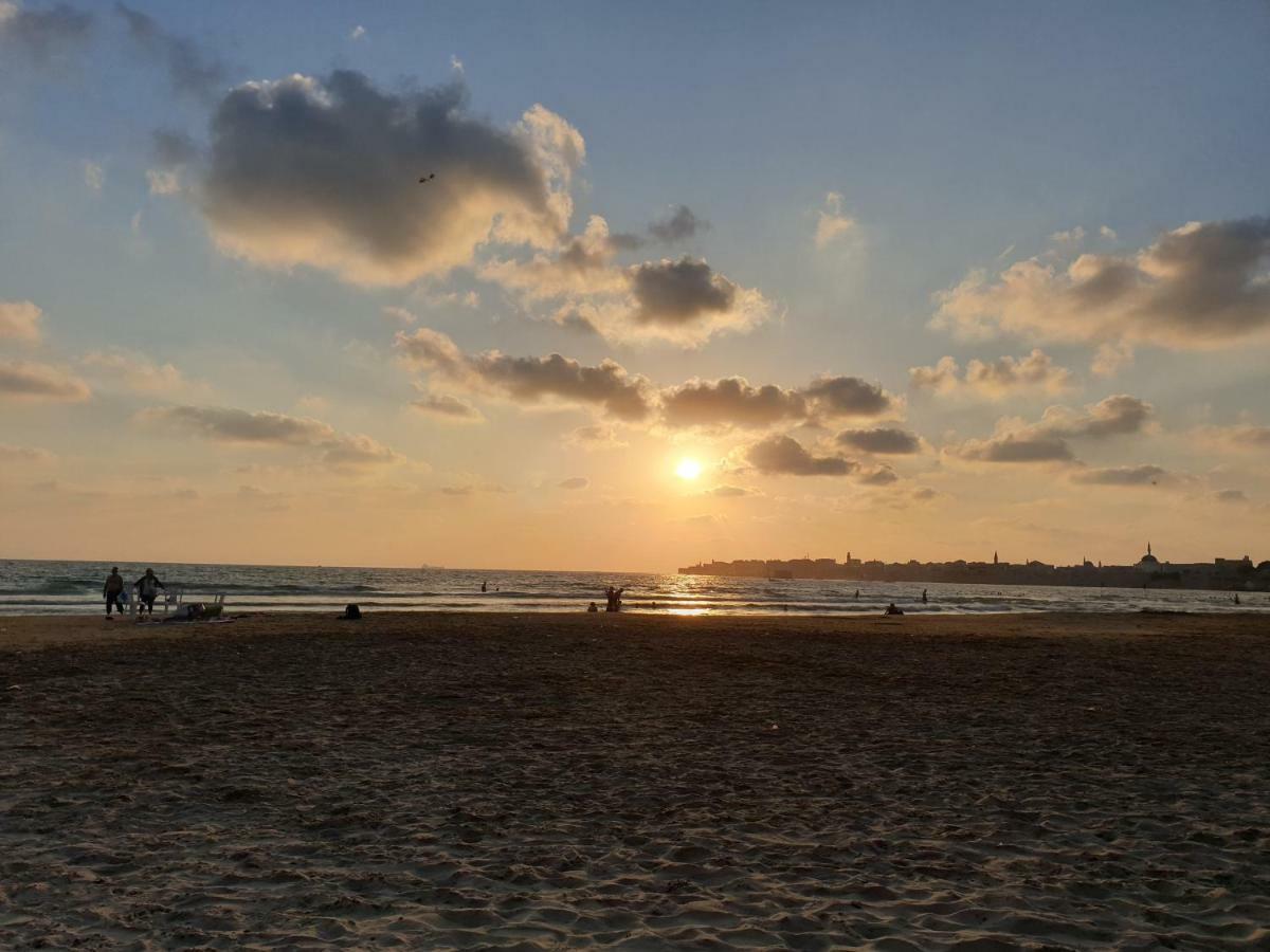 Beachfront Gallery アッコ 部屋 写真